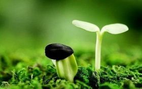 Giá trị của những mẩu chuyện ngắn hay: Thuvienluanvan.com