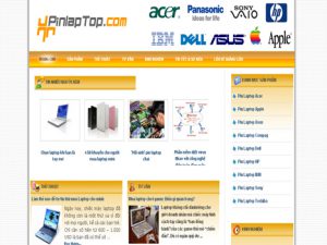 pinlaptop