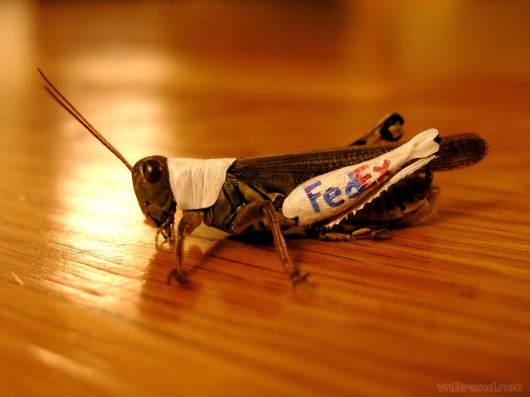 FedEx