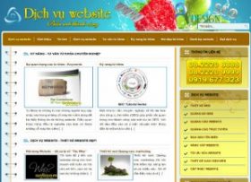 dichvuwebsite