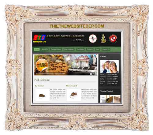 pestcontrolvietnam pestcontrolvietnam