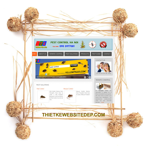pestcontrolhanoi pestcontrolhanoi