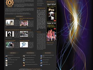 Website điều tra dân sự