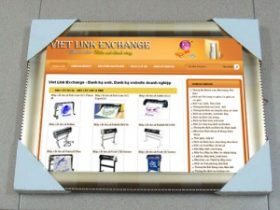 Website Viet Link Exchange