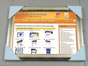 Website Viet Link Exchange