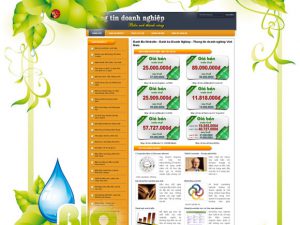 Dự án web thông tin doanh nghiệp