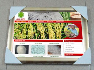 Thiết kế web đặc sản gạo nếp