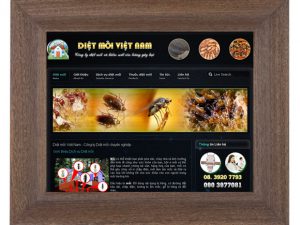Dự án thiết kế web diệt mối Việt Nam
