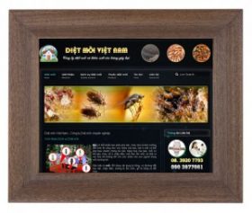 Dự án thiết kế web diệt mối Việt Nam