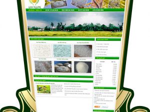 Thiết kế web gạo ngon
