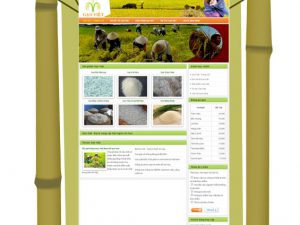 Website Gạo Việt - Gạo ngon