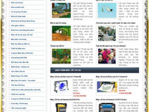 Thiết kế website liên minh quản trị doanh nghiệp