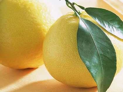 Chữa hói đầu bằng tinh dầu bưởi