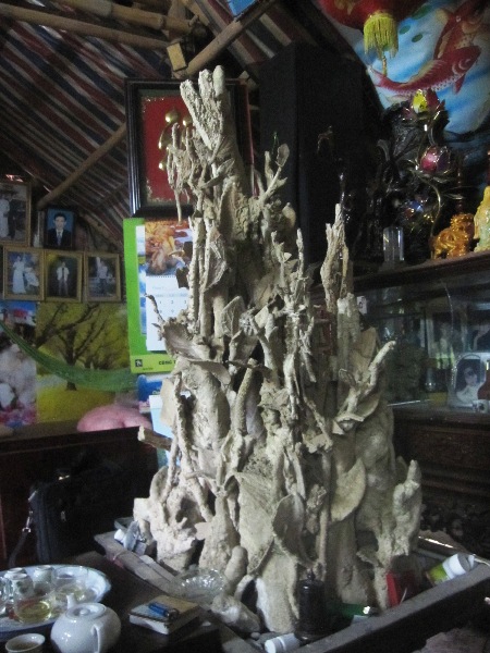 Sự thật về cây hóa thạch 3 triệu USD ở Thanh Hóa