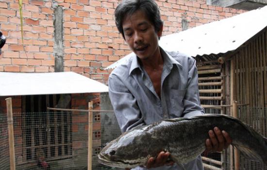 ca loc khong lo 6kg