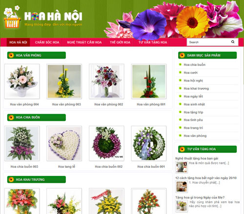 hoahanoi.com
