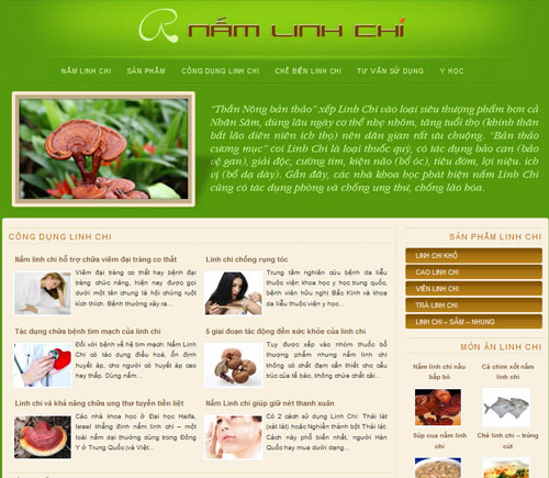 namlinhchi.com