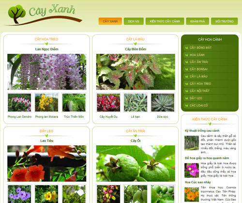 cayxanh.com