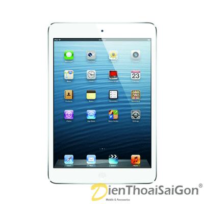 ipadmini