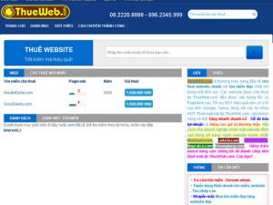 Cho thuê website