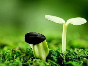 Giá trị của những mẩu chuyện ngắn hay: Thuvienluanvan.com