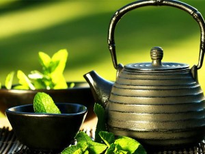 Tầm quan trọng của thảo dược và sức khỏe
